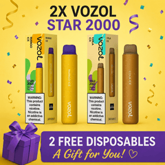 Loyal Gift — 2x VOZOL Star 2000 - Evaeske